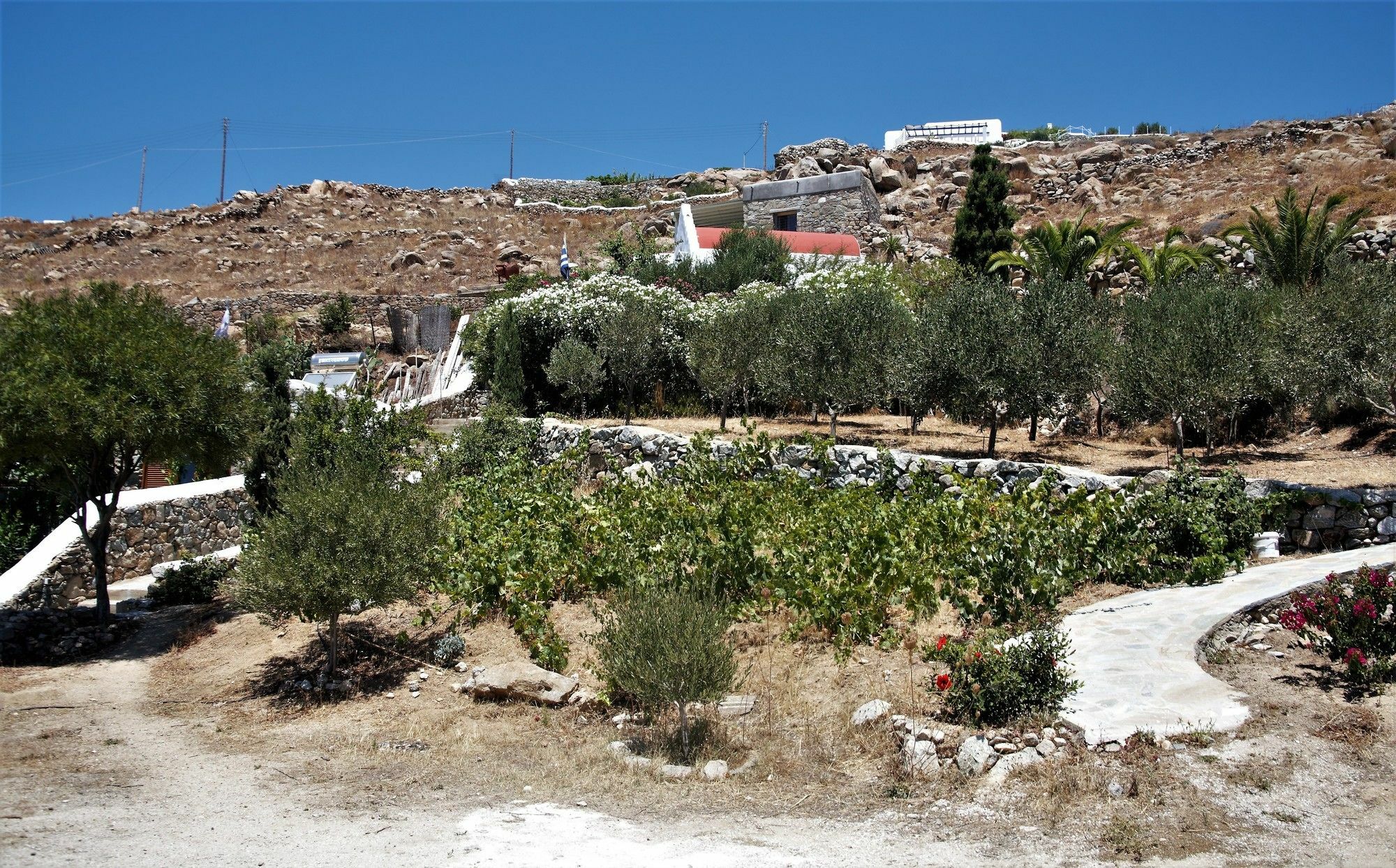 Вілла Mykonos Moussa Agios Ioannis Diakoftis Екстер'єр фото